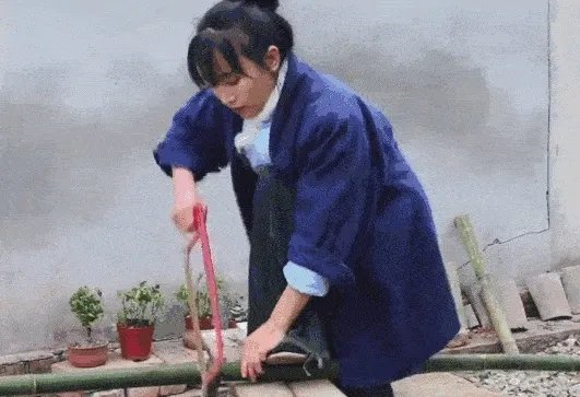 坐拥几千万粉丝的李子柒,被质疑的真实,到底长什么样?