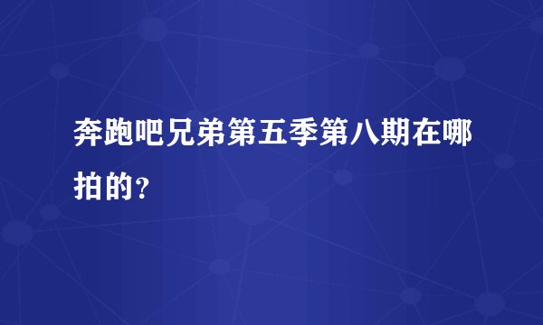 奔跑吧兄弟第五季第八期在哪拍的？