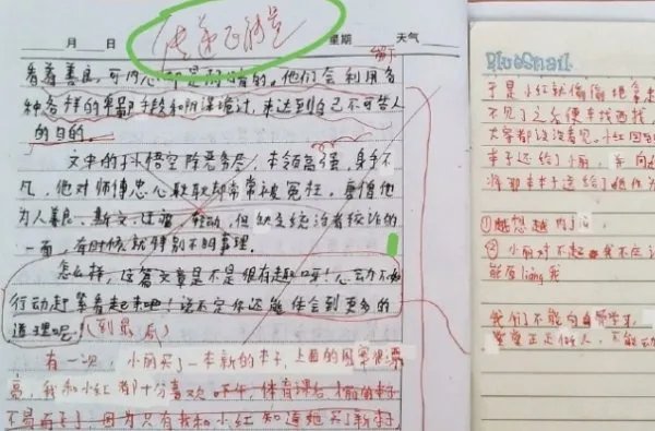 小学生疑因作文被批“传递负能量”后坠亡!老师错了吗?