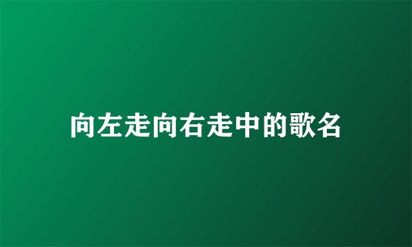 向左走向右走中的歌名