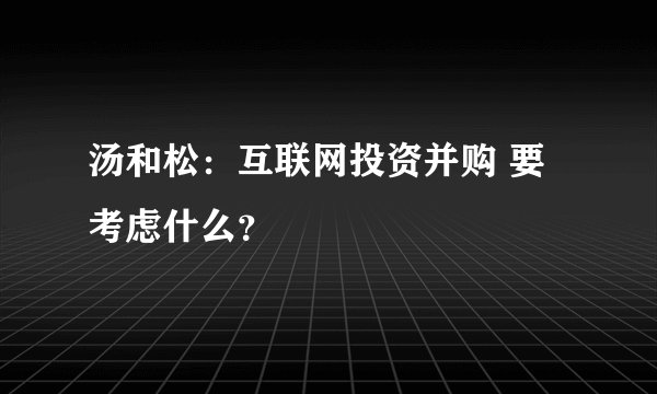 汤和松：互联网投资并购 要考虑什么？