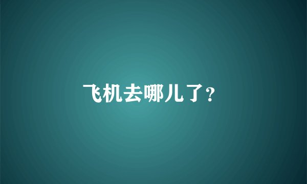 飞机去哪儿了?