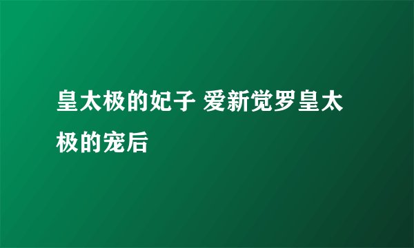 皇太极的妃子 爱新觉罗皇太极的宠后