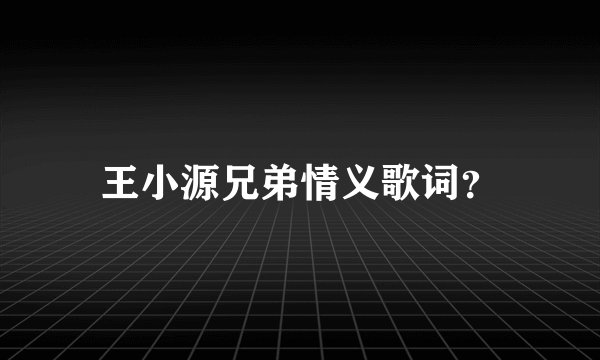 王小源兄弟情义歌词？