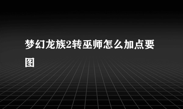 梦幻龙族2转巫师怎么加点要图