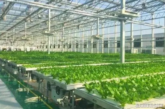 摸鱼5分钟：直播带货翻车得退钱 2022级熊猫宝宝集体亮相