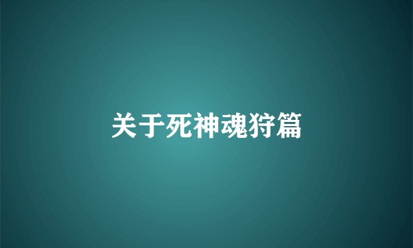 关于死神魂狩篇