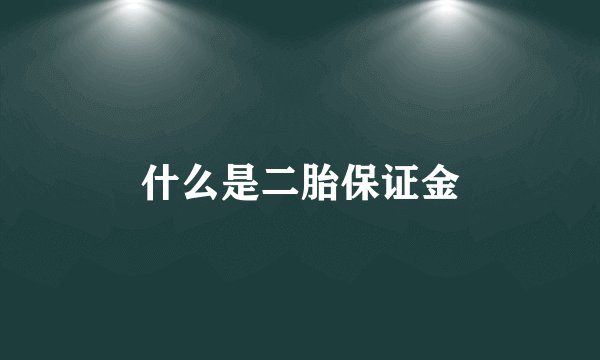 什么是二胎保证金