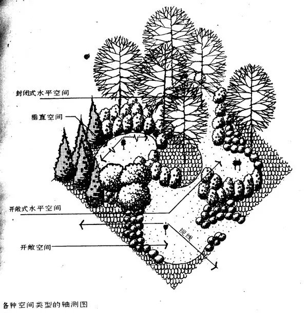 干货 | 庭院植物打造,营造十足空间感