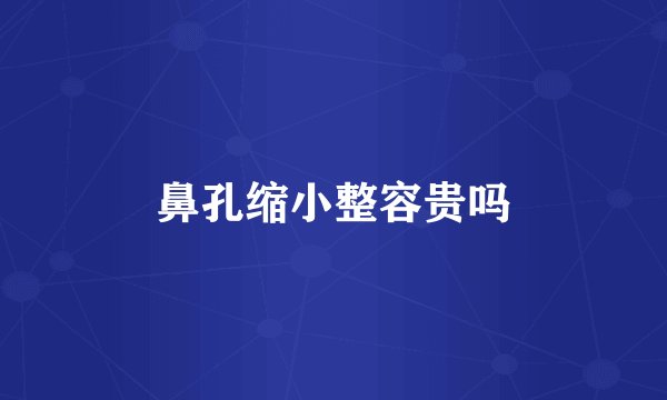 鼻孔缩小整容贵吗
