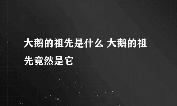 大鹅的祖先是什么 大鹅的祖先竟然是它