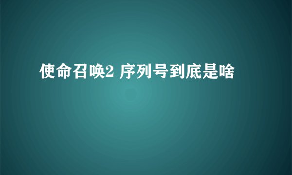 使命召唤2 序列号到底是啥