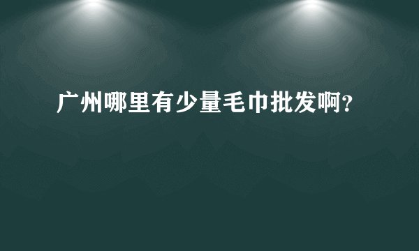 广州哪里有少量毛巾批发啊？