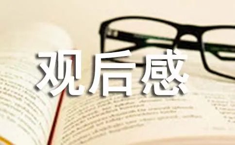 小脚丫心灵之旅观后感