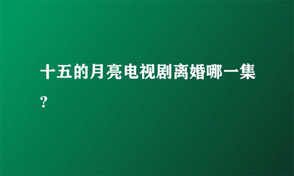 十五的月亮电视剧离婚哪一集？