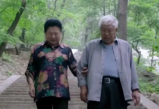 刘家媳妇大结局是什么?怎么评价这部电视剧