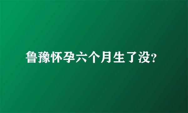 鲁豫怀孕六个月生了没?