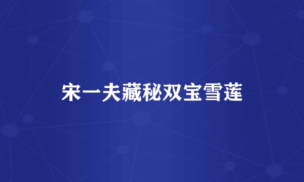 宋一夫藏秘双宝雪莲