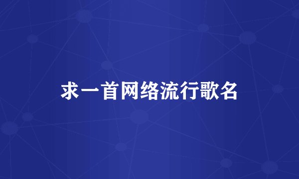 求一首网络流行歌名