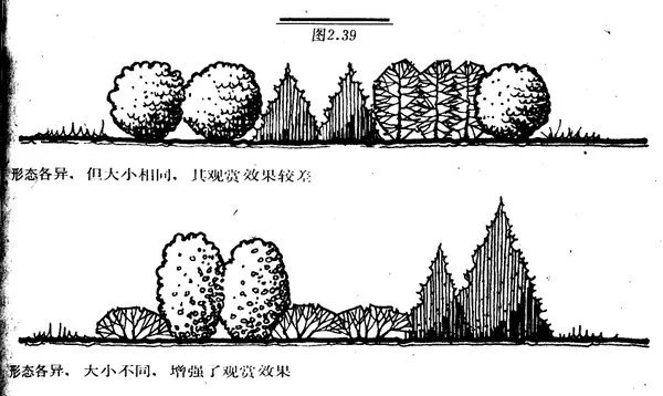干货 | 庭院植物打造,营造十足空间感