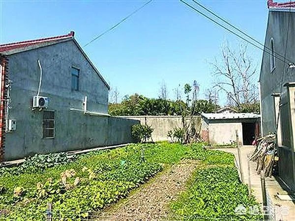如何看待上海野生动物园逃票：一团伙收一百元让游客翻墙入园？