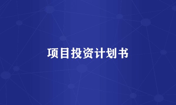 项目投资计划书