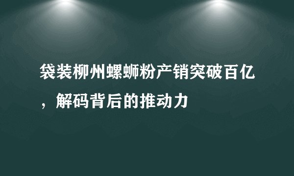 袋装柳州螺蛳粉产销突破百亿，解码背后的推动力