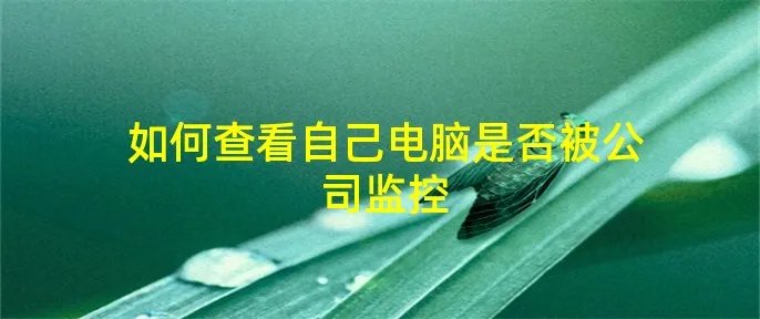 如何查看自己电脑是否被公司监控