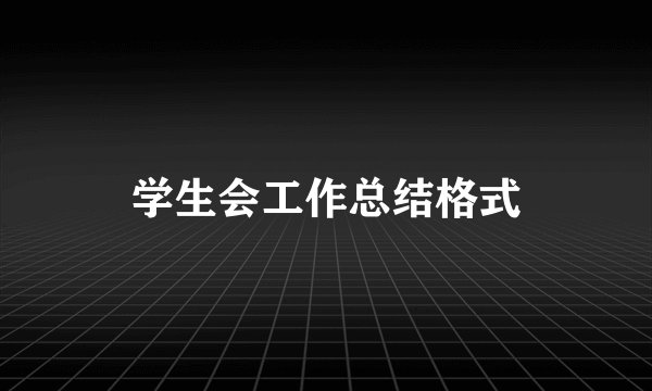 学生会工作总结格式