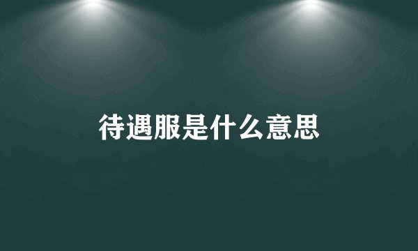 待遇服是什么意思