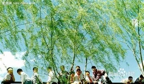 让快乐多一点