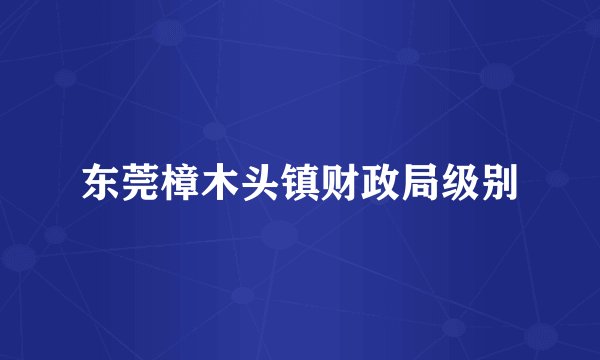 东莞樟木头镇财政局级别