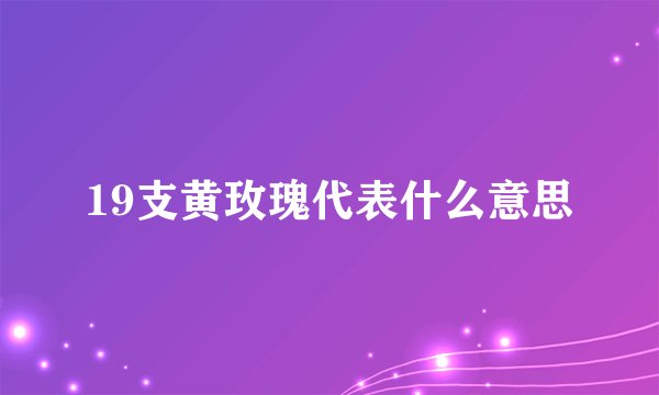 19支黄玫瑰代表什么意思