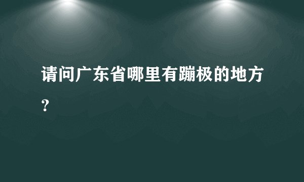 请问广东省哪里有蹦极的地方？
