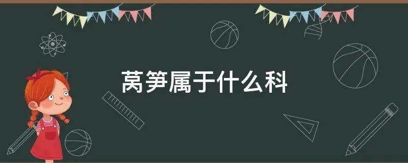 莴笋属于什么科