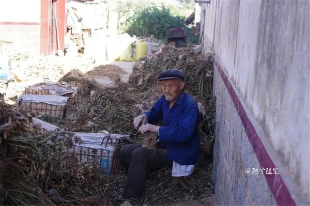 农村没有退休金的老人,该怎么办?