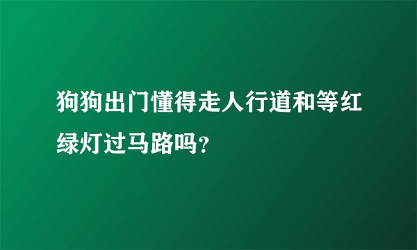 狗狗出门懂得走人行道和等红绿灯过马路吗?