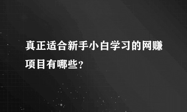 真正适合新手小白学习的网赚项目有哪些?