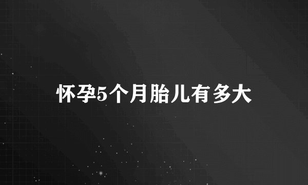 怀孕5个月胎儿有多大