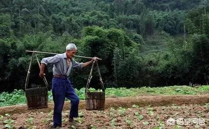 农村没有退休金的老人,该怎么办?