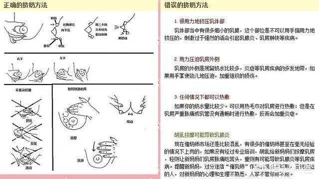 新妈妈如何正确的挤奶?