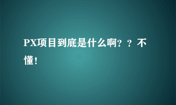 PX项目到底是什么啊？？不懂！