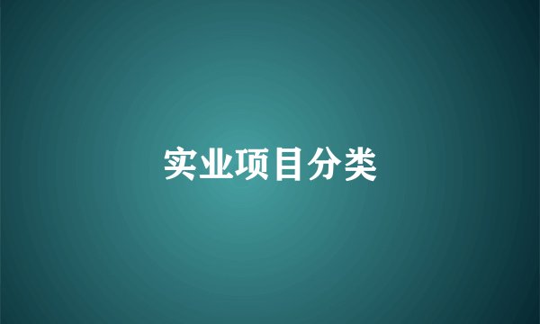 实业项目分类