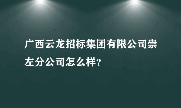 广西云龙招标集团有限公司崇左分公司怎么样?