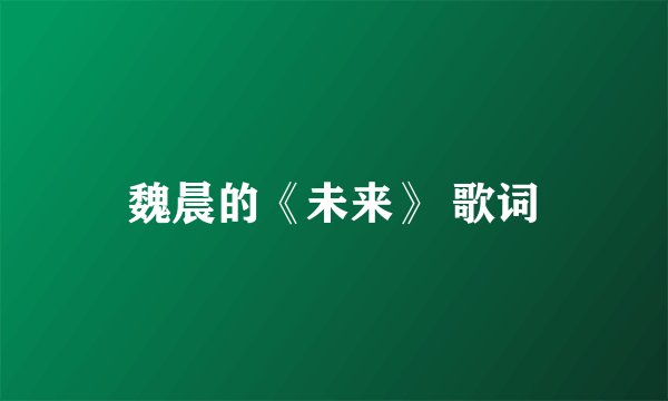 魏晨的《未来》 歌词