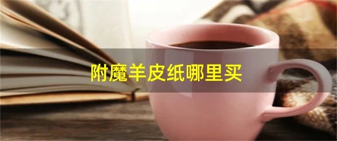 附魔羊皮纸哪里买