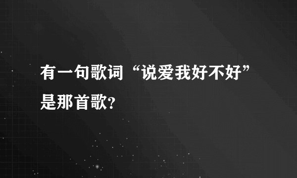 有一句歌词“说爱我好不好”是那首歌？
