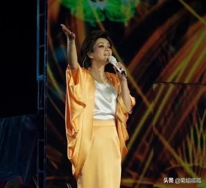 如果毛阿敏和那英同时在北京举办演唱会,你去看谁?