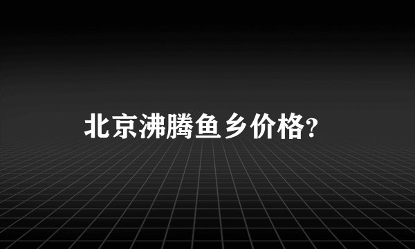 北京沸腾鱼乡价格？