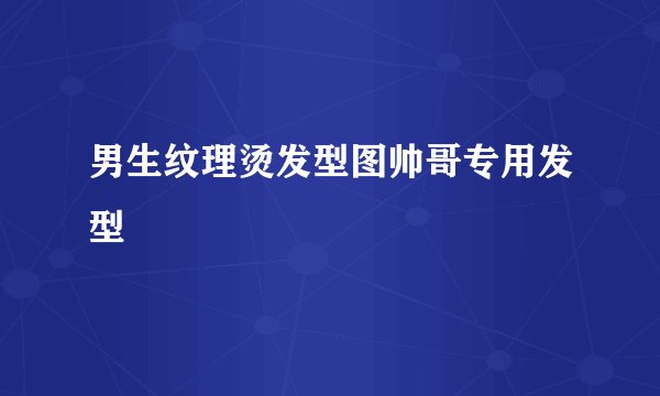 男生纹理烫发型图帅哥专用发型